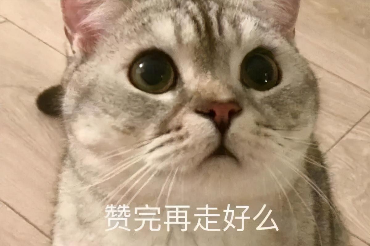 各种网络设备介绍,聊聊网络那些事儿