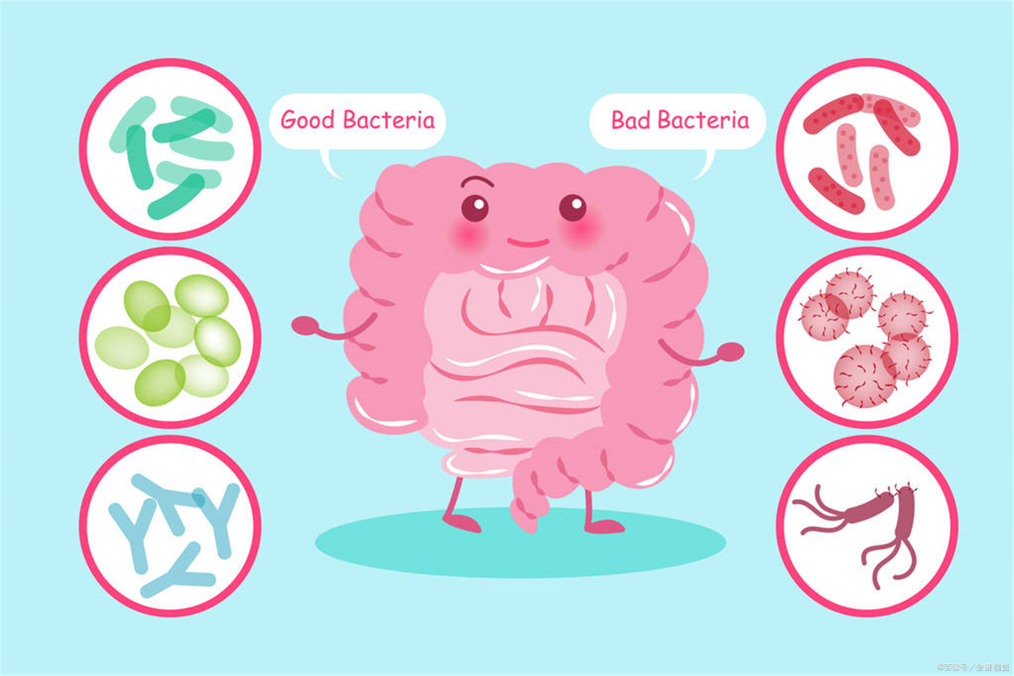 有助肠道消化的最佳锻炼方法,清理肠道助消化最好方法