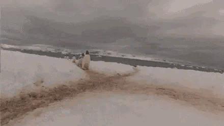 “你太低估了我的脚气，不知道还有没有救？”年轻总要付出代价