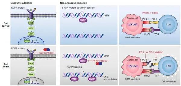 癌症基因组学研究最全综述,nature子刊自然医学