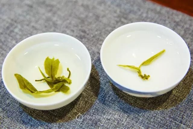 中茶的茉莉花茶叶怎么样,好茶的标准茉莉花茶