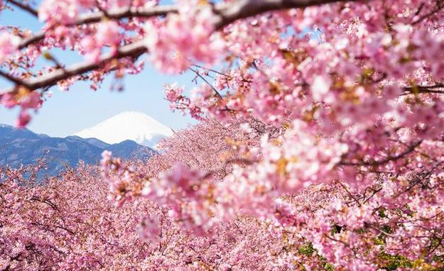 日本冬季最美温泉,日本热海有什么好玩的