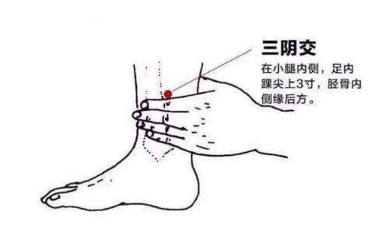 孕妈妈在孕期不要错过这三种汤,孕妈妈不能碰的食物