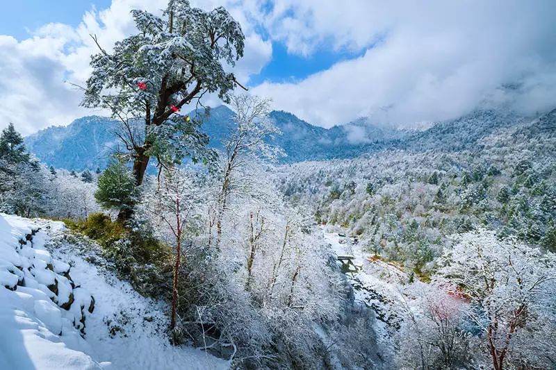 成都附近看雪一日游推荐表,成都周边轻徒步玩雪一日游