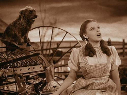 千古赋屁第一人，诗歪得让人崩溃，水平再高也看不懂