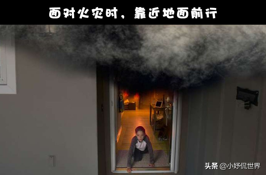 你知道海啸是怎么形成的吗,海啸来临时的前兆图片