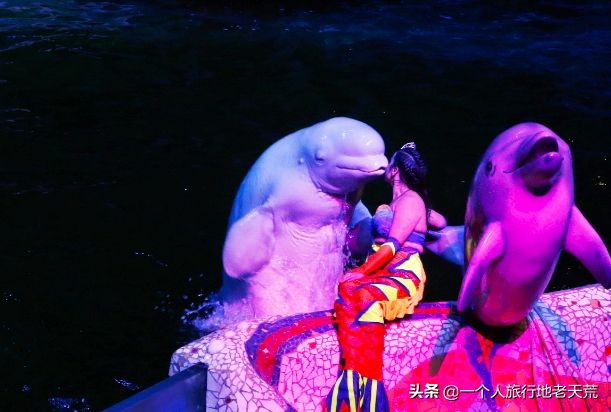 厦门海滨老城旅游,厦门最美海滨城