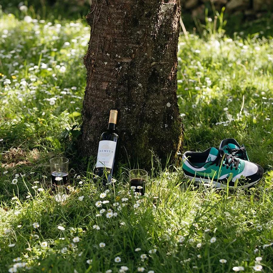 葡萄酒618促销,原装进口红葡萄酒6瓶