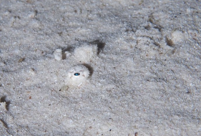 海底你不知道的东西,海底世界东海龙宫