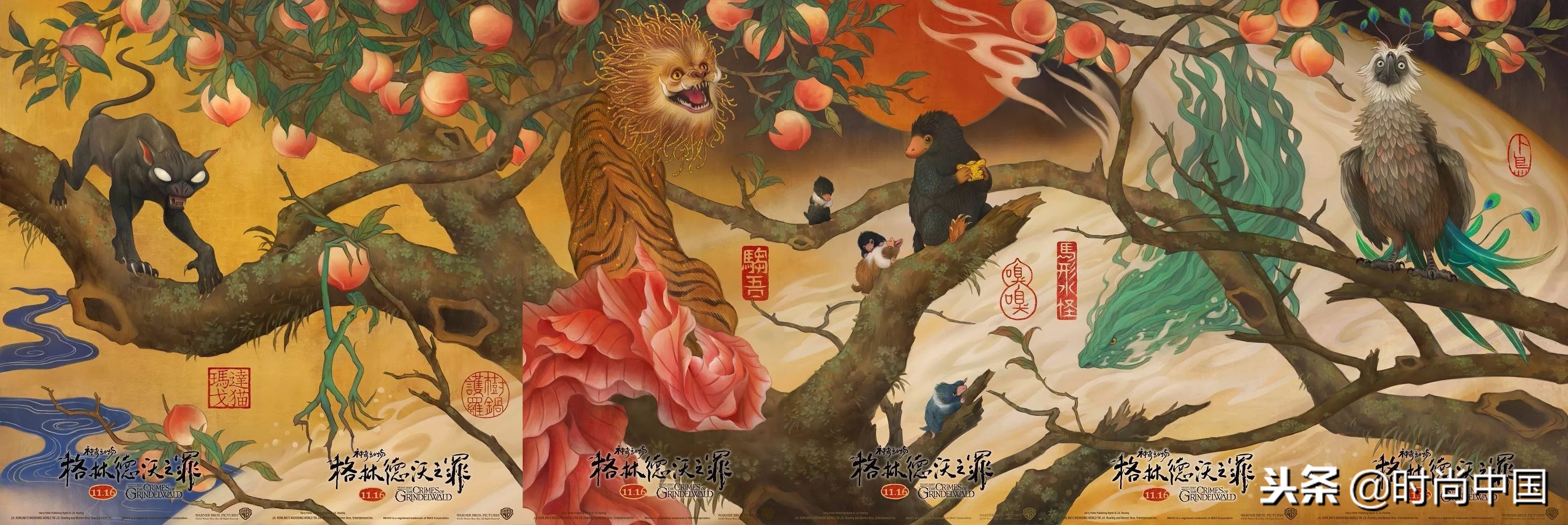 倪妮同款小猫咪,倪妮李宇春奇妙的动物