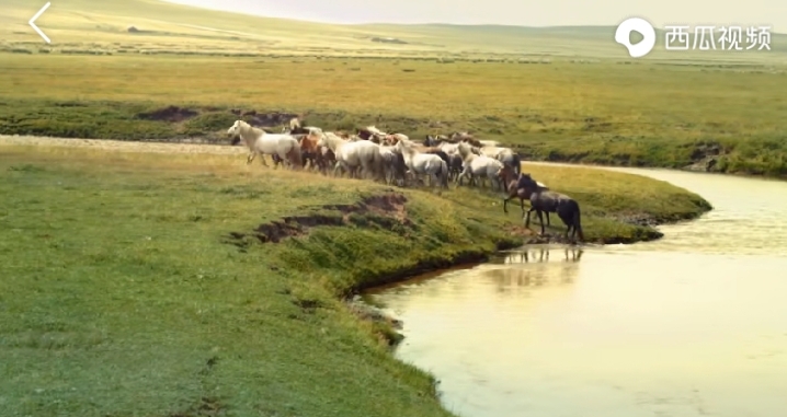 乌珠穆沁的孩子电影在线观看,乌珠穆沁的孩子怎么样
