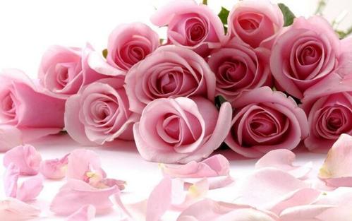 2月14日情人节送花图片,2月14情人节送花几点送最好