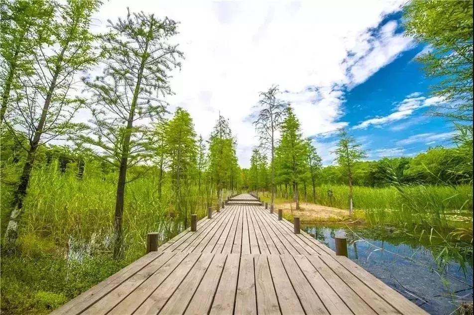 常州有没有免费的健身房,常州健身房推荐钟楼区