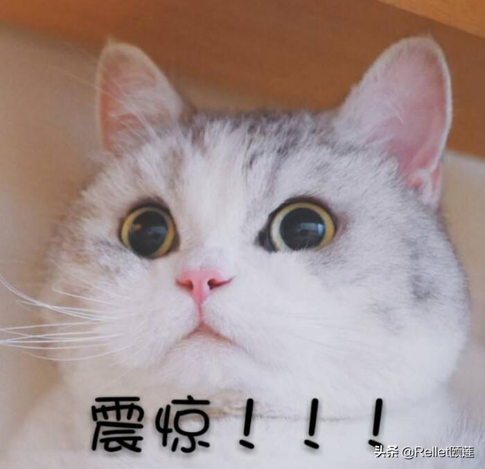 防晒霜是一年四季都要涂吗,防晒霜是要四季都涂吗