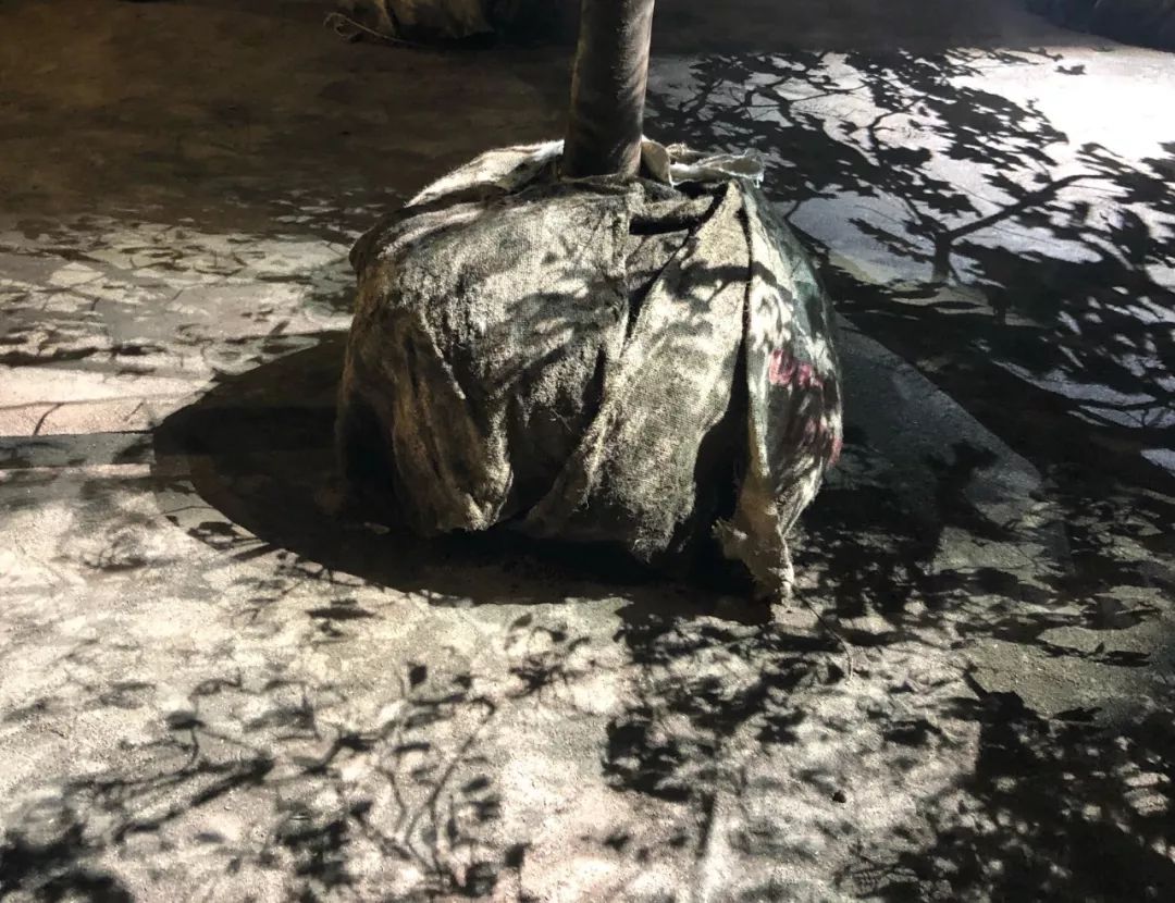 最值得买的dior,dior值得买的马鞍包是哪款