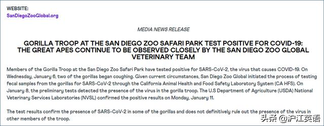 外国疫情下的大熊猫,英国大熊猫被送回中国