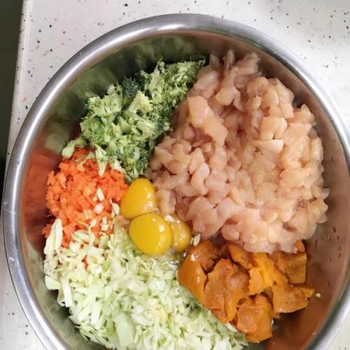 养狗各阶段狗粮怎么喂好,科学养狗狗粮推荐