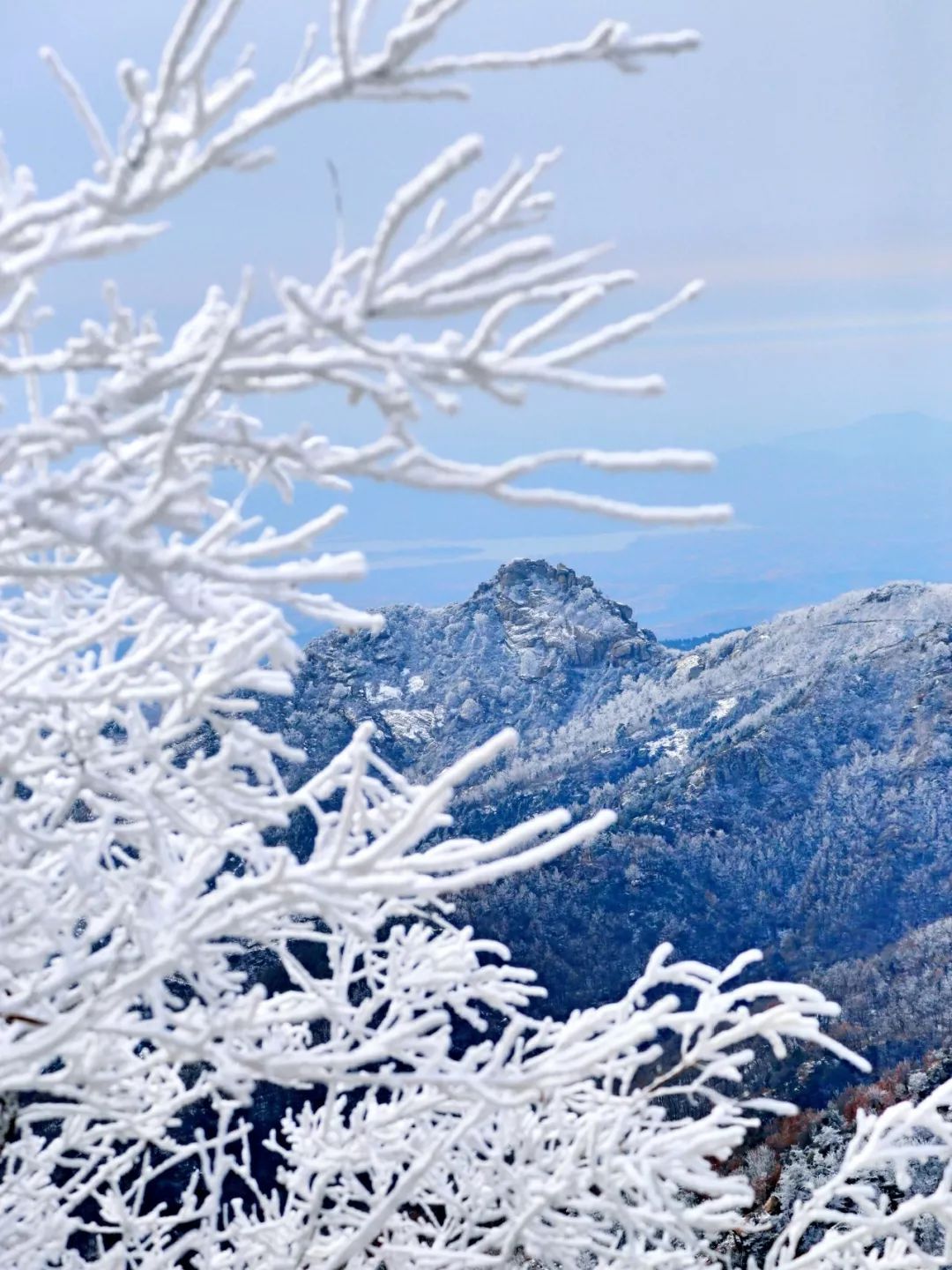 赏雪何须去北国,赏梦幻雾凇耍雪的绝佳去处