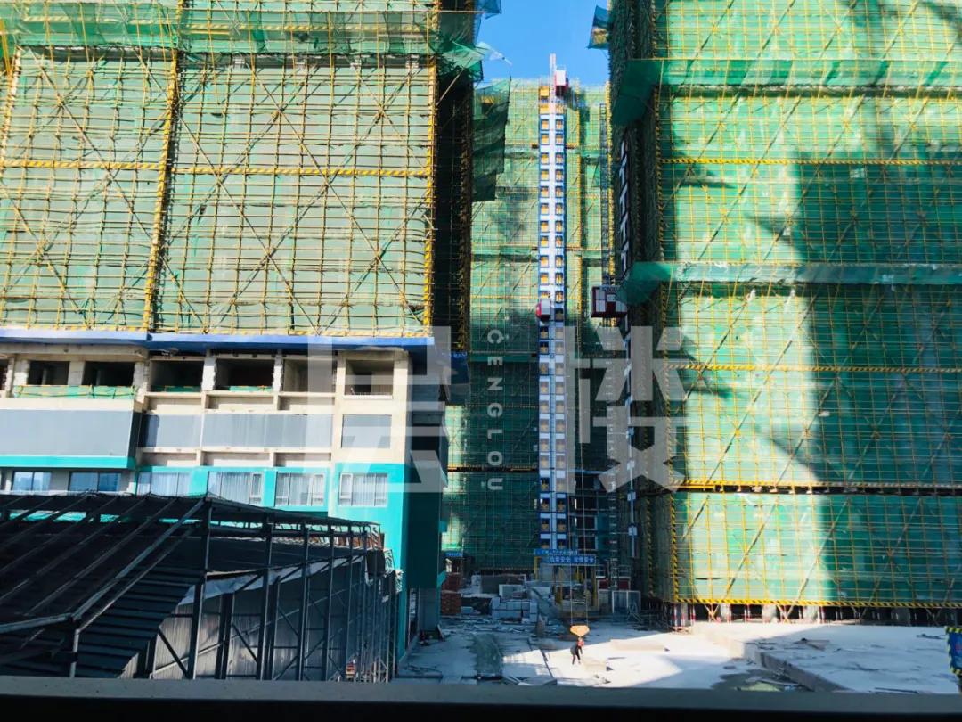 滨江三品摇号技巧,滨江三期什么时候摇号