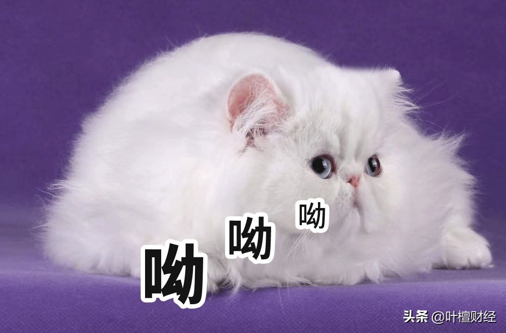 90后曾离不开服装业两位大佬：森马、美邦谁略胜一筹？