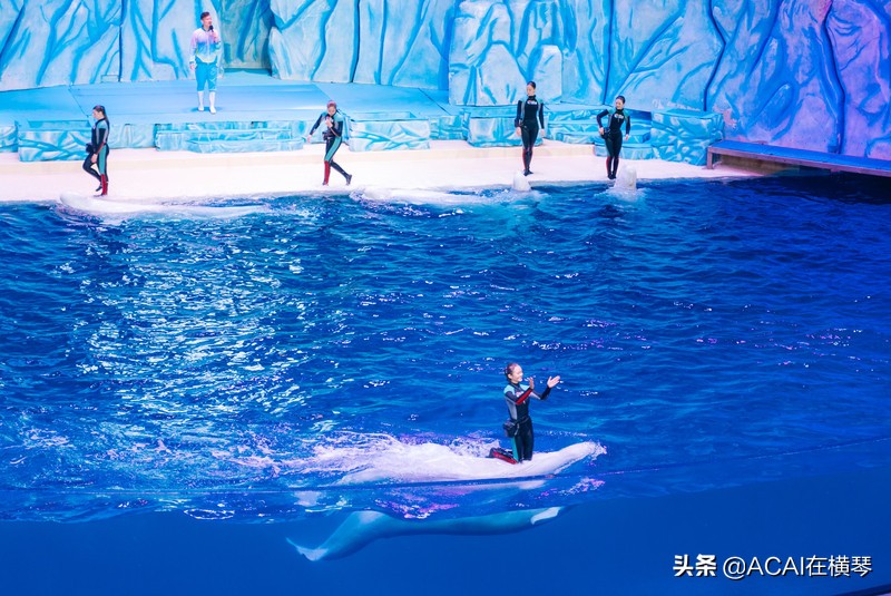 吃喝玩乐in珠海,珠海吃喝玩乐一体的地方