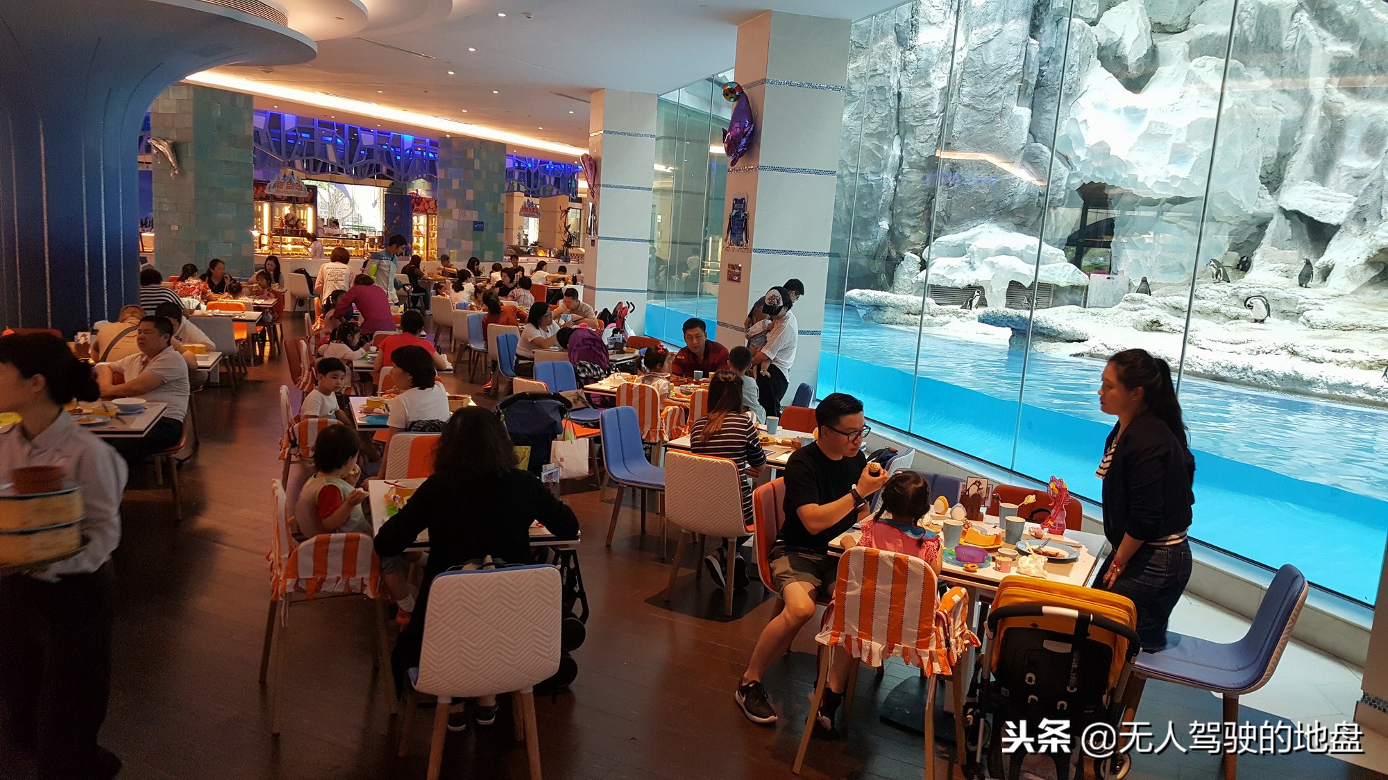 从广州长隆到珠海长隆亲子游攻略,广州长隆亲子游攻略适合几月份去