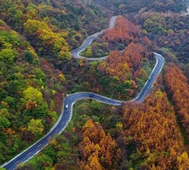 西安自驾秦岭秋色最好的地方,西安自驾一日游的绝佳去处秦岭