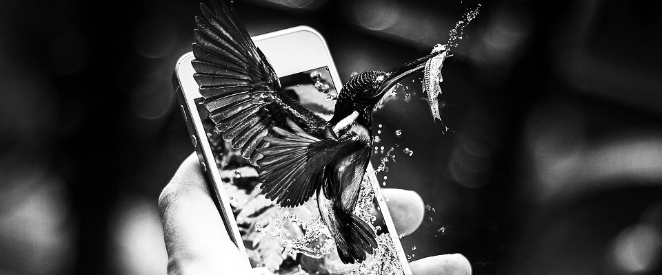 聚划算扣点,聚划算领券在哪里