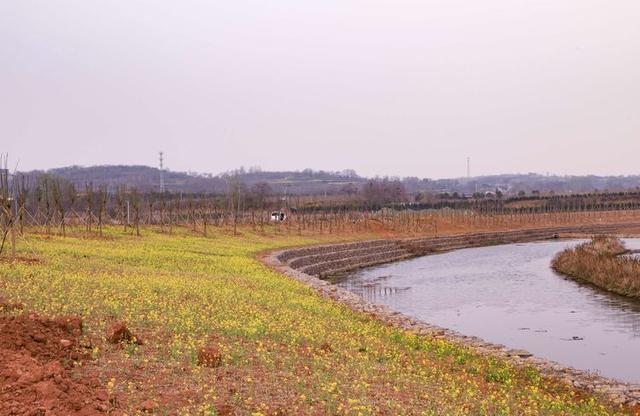浠ユ按娑﹀煄,娑﹀煄娌抽亾娌荤悊宸ョ▼