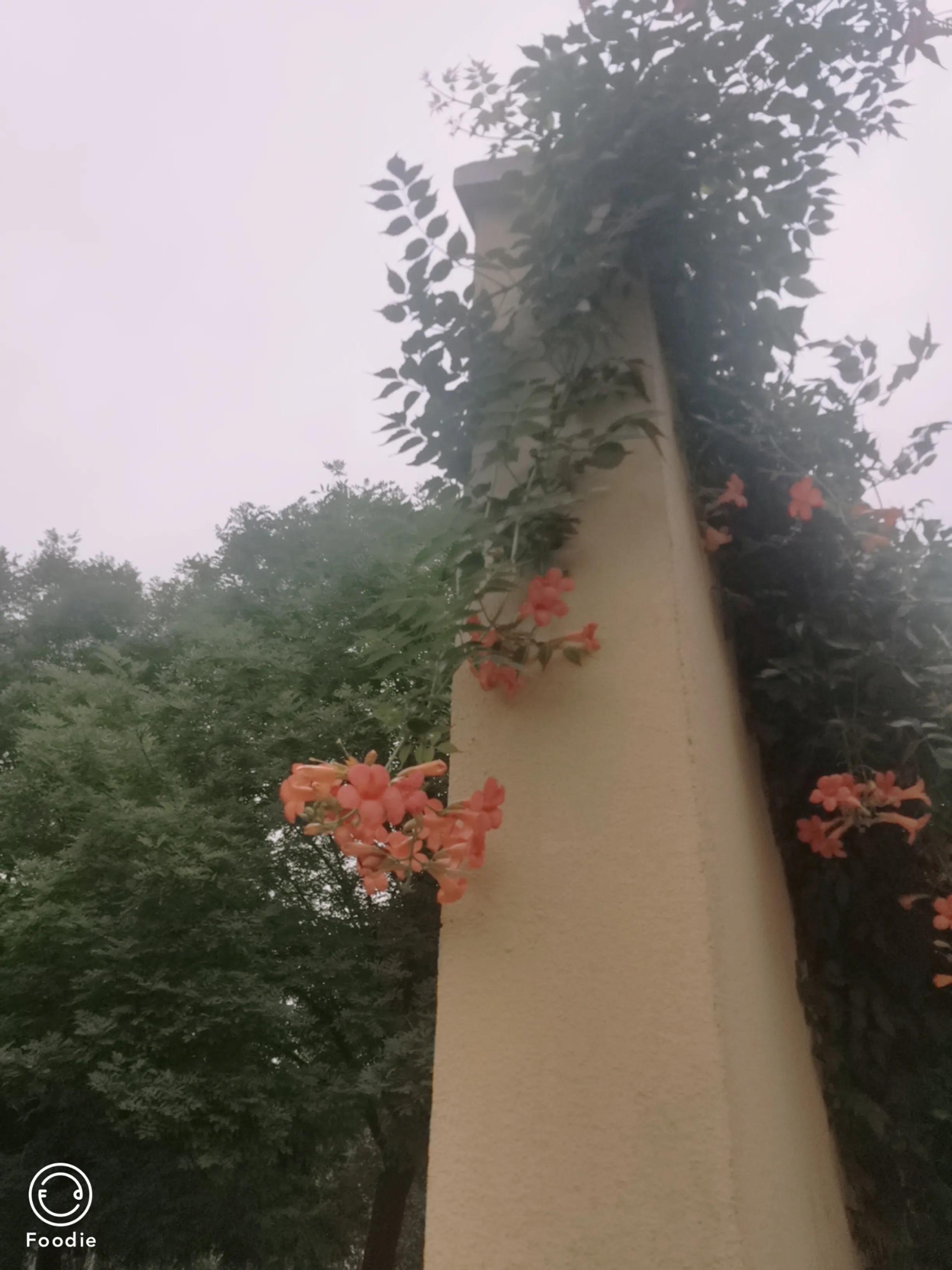 解决顽瘴痼疾问题,祛湿后皮肤松弛怎么解决