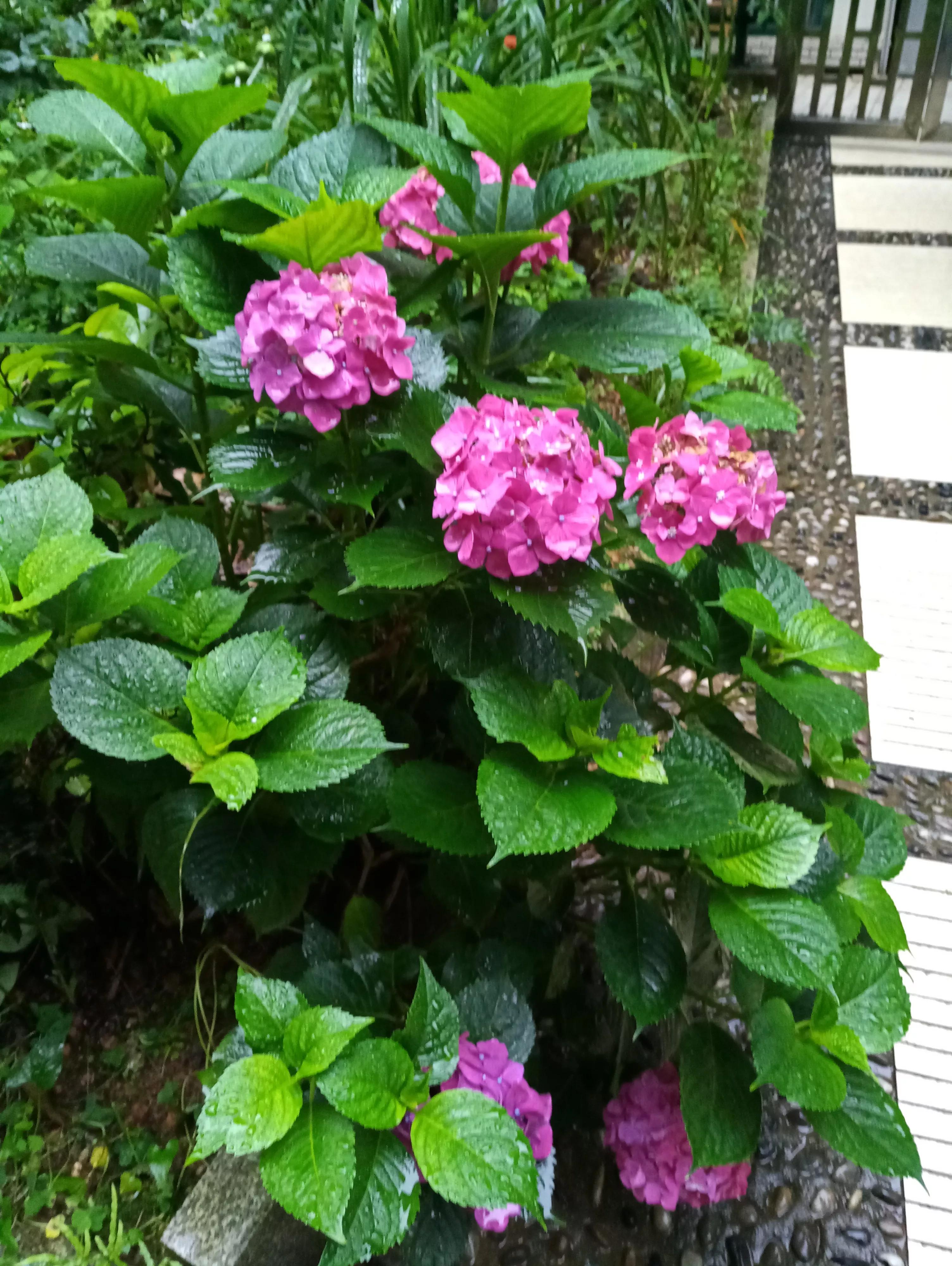 废旧布如何手工制作杯垫,纸板做的杯垫怎么做又简单又漂亮