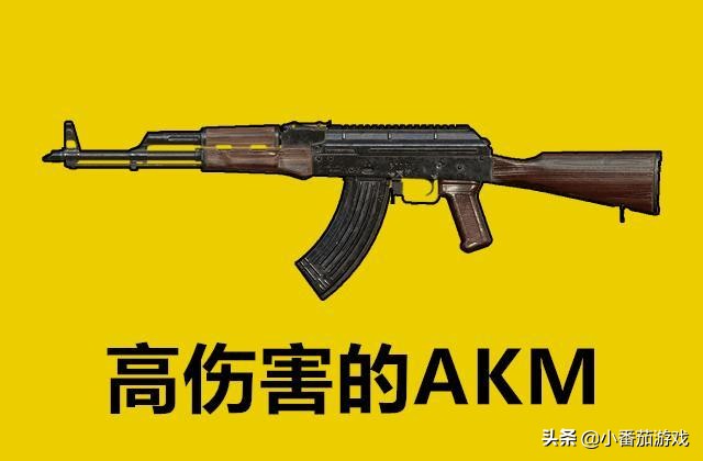 吃鸡中最强突击步枪集锦,吃鸡射程射速最高的步枪