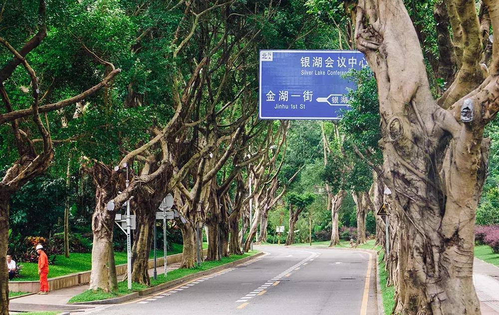 深圳银湖山游玩,深圳银湖有什么好玩的地方