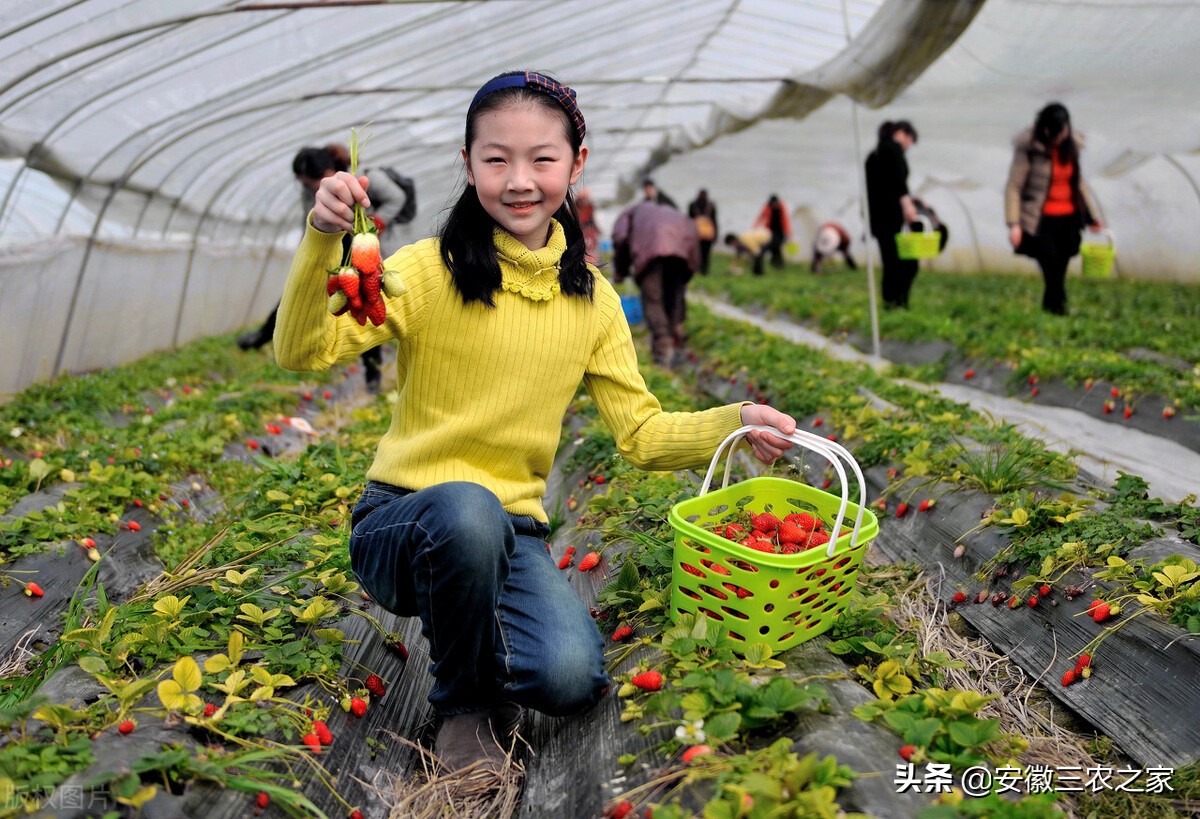 返乡创业最有效的方法,返乡创业不再迷茫