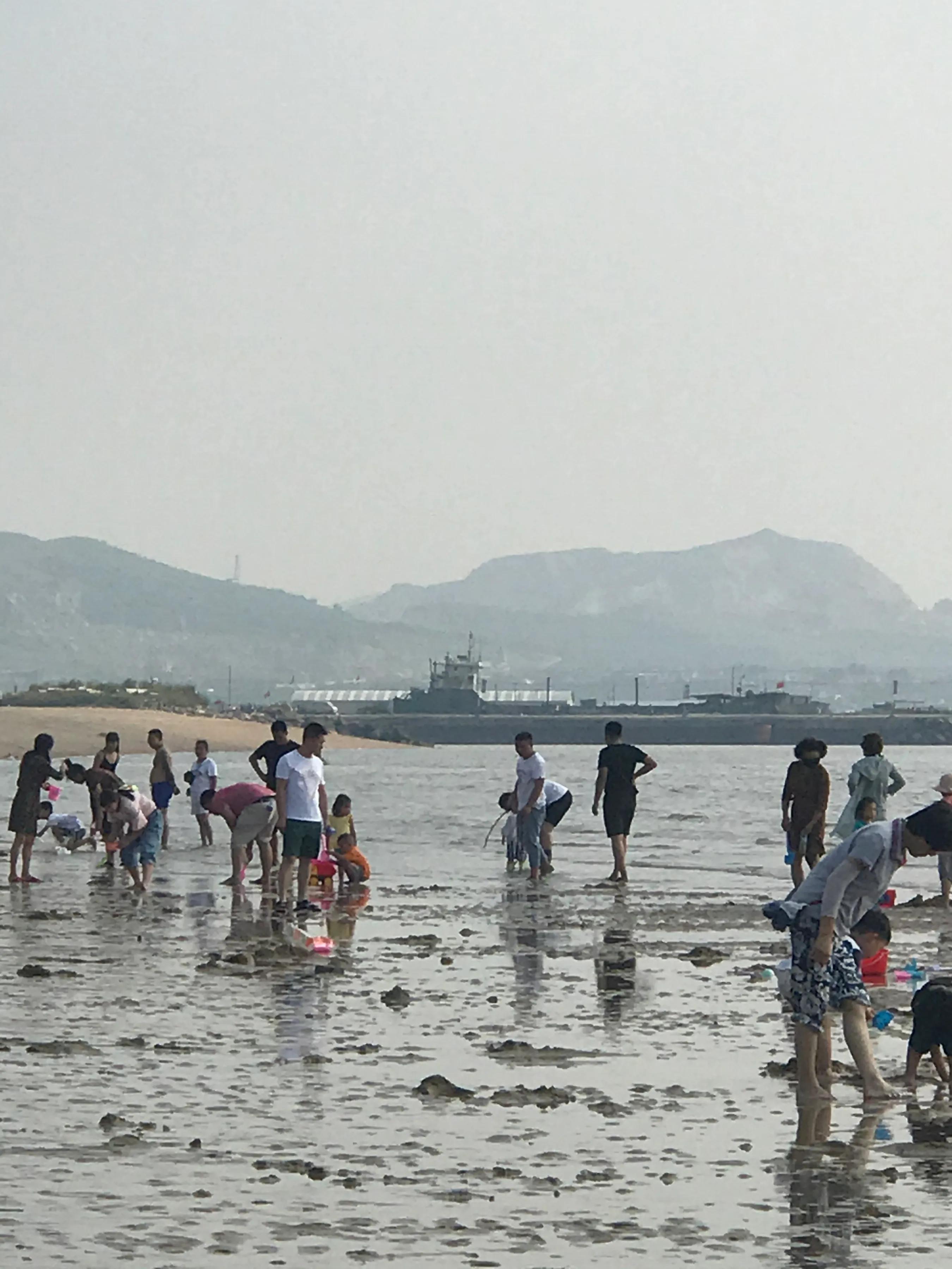 营口北海海洋公园免门票,营口北海海洋公园简介