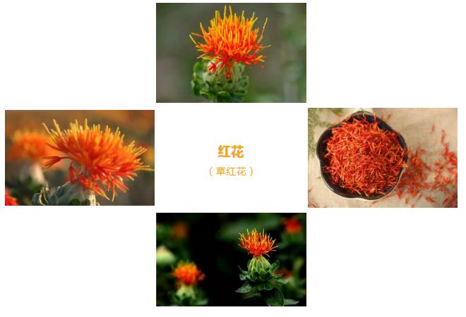 藏红花跟西红花番红花有什么区别,西红花番红花藏红花有什么区别