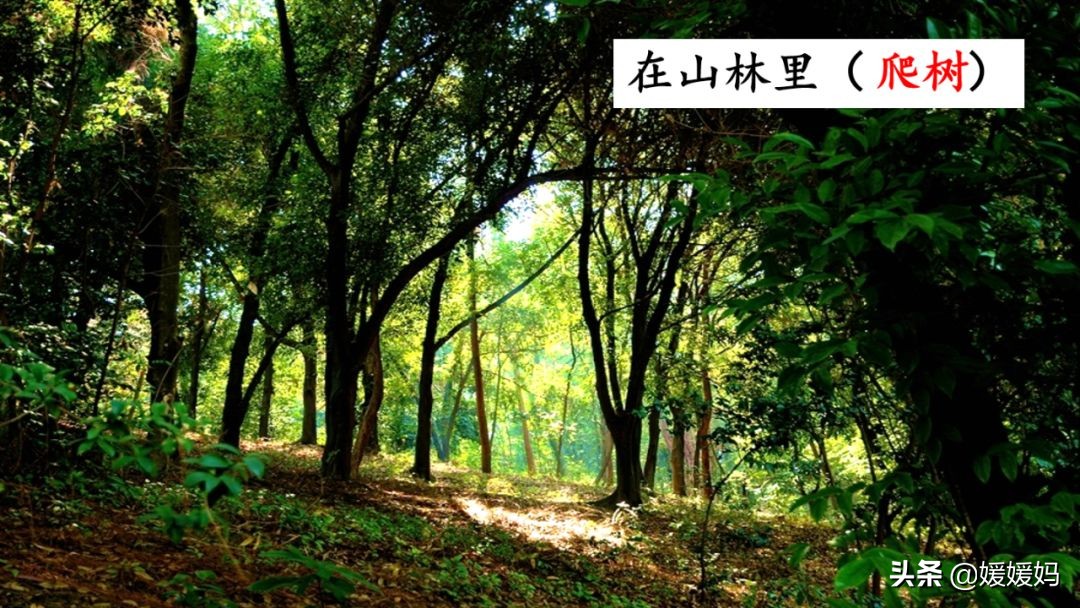 找春天二年级下册仿写第8自然段,找春天二年级下册朗读123自然段