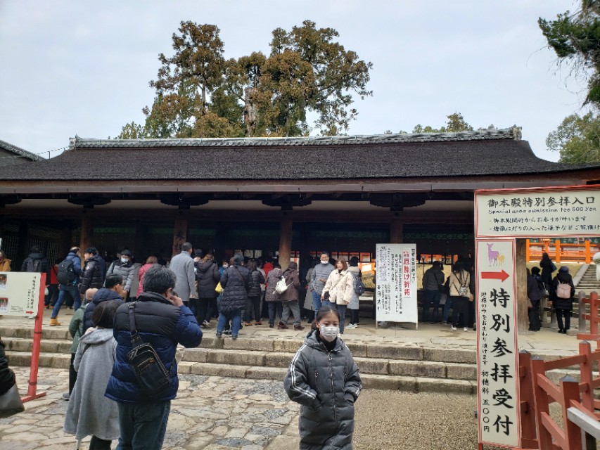 如果你今生只想去一次日本，千万别跟我一样，报这样的旅行团五