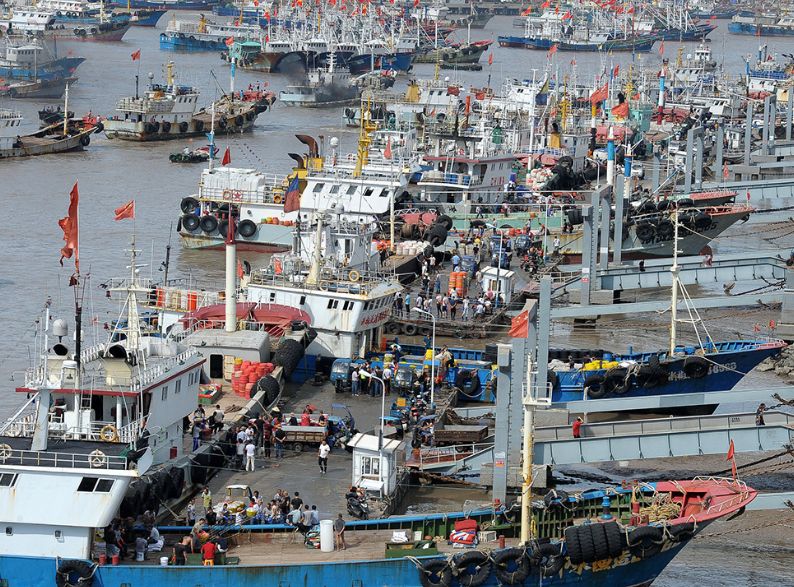 我，出海打鱼十五年，月薪1.2万，最后差点命丧大海