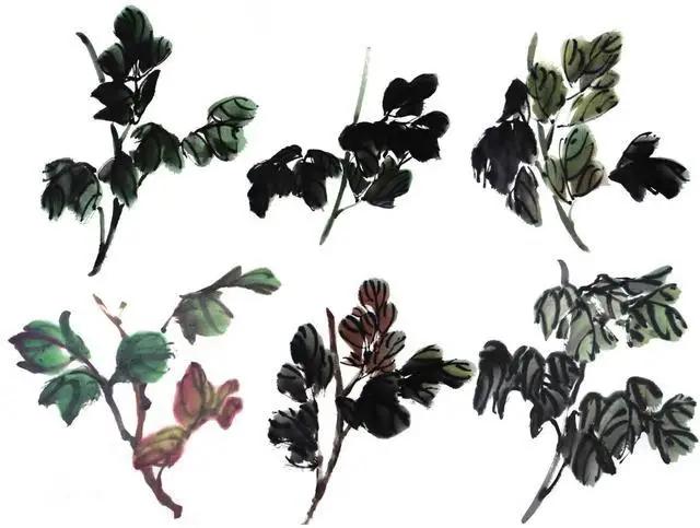 学习写意牡丹画的方法,学习写意牡丹画的步骤