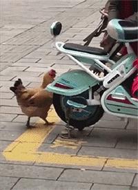 “如果这群女混混*攻围**我,我会舌战群儒!”你会怎样脱困?