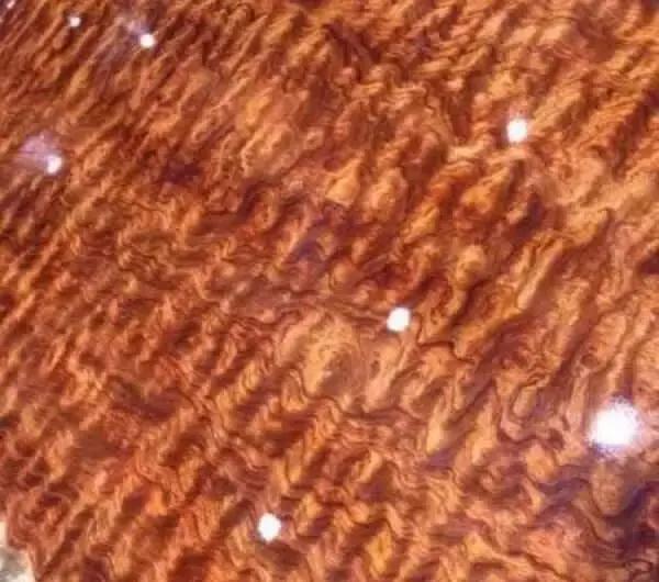 一颗重达几十吨的巴西花梨切开后像千层雪糕