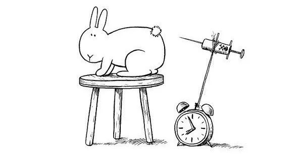 杀死一只兔子的预兆,杀死兔子的方法