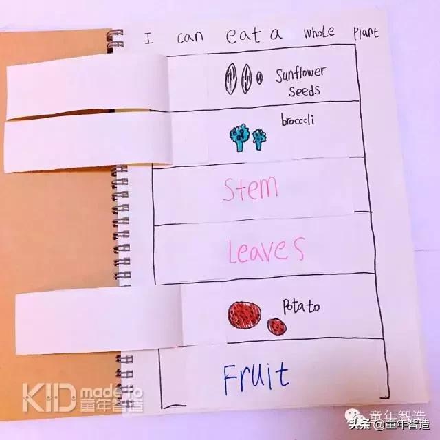 艾米粒说明书使用方法,艾米粒使用方法