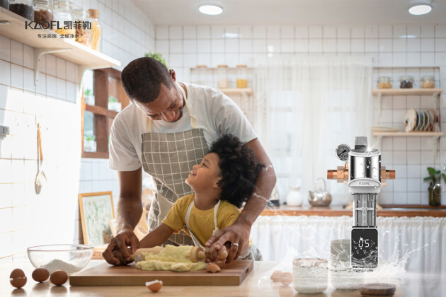 美国品牌净水器前十名排名,净水器美国品牌