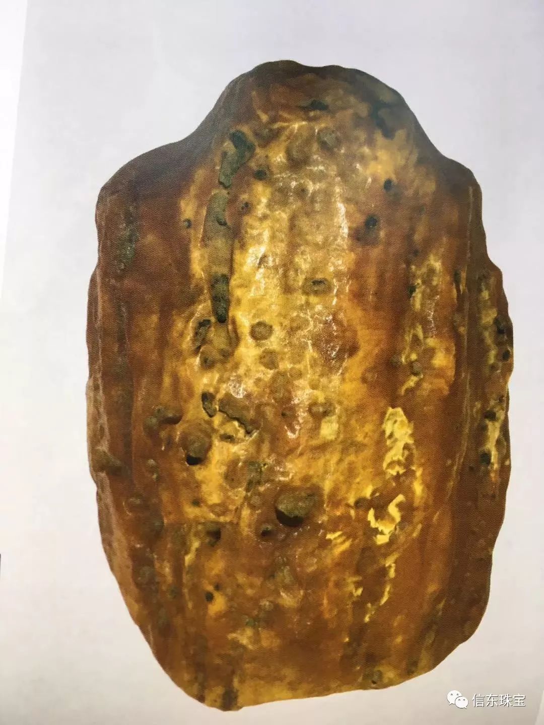 第一节是什么节,什么是琥珀呢