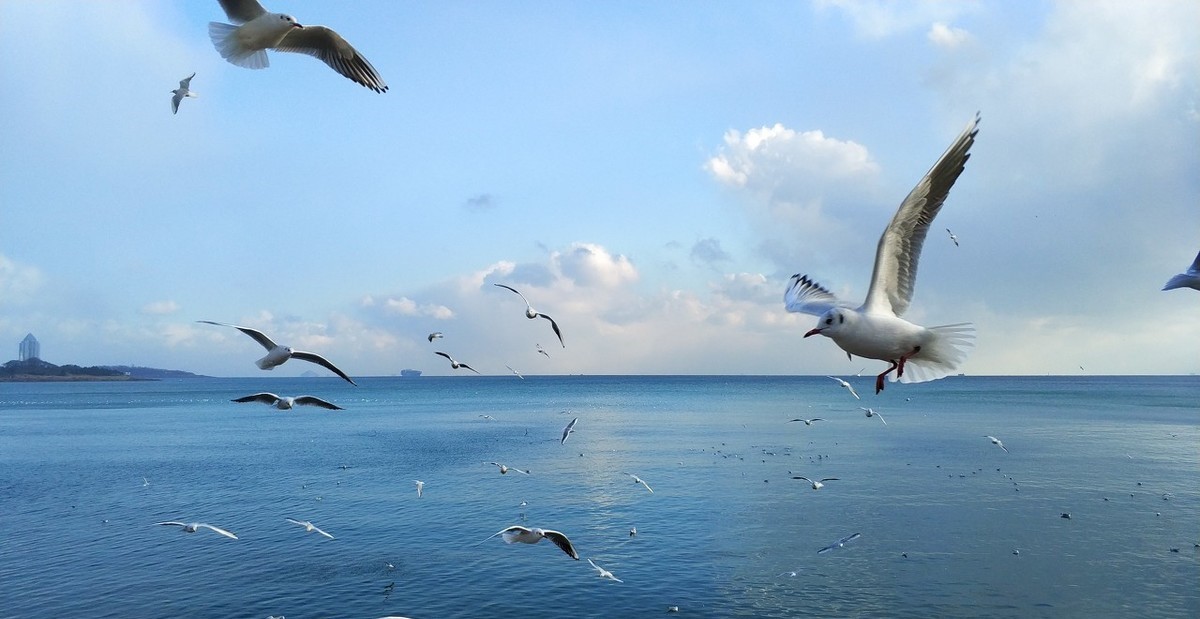 拼多多无货源去哪里找货源比较好,拼多多无货源网店怎么找货源