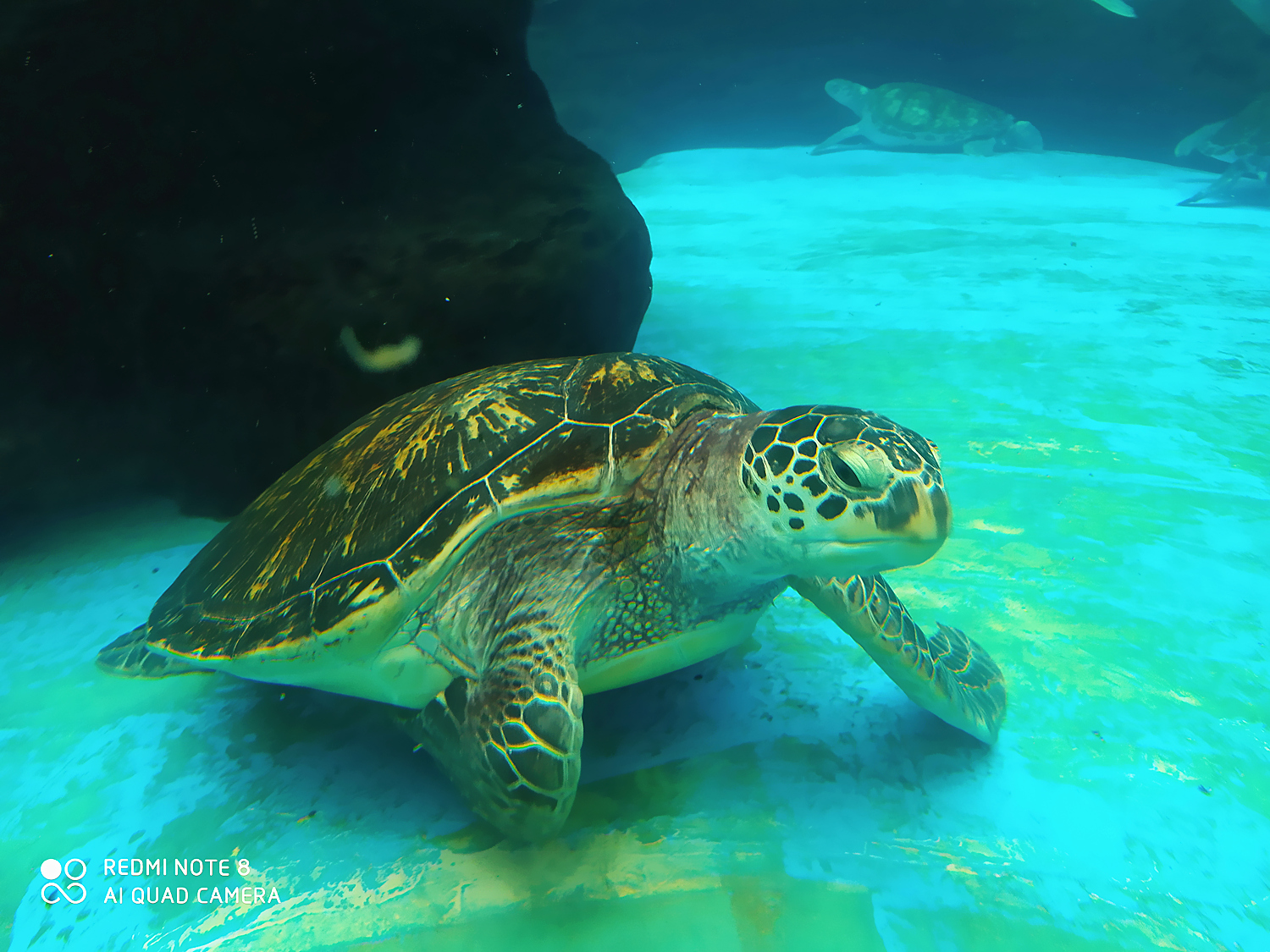 红米note9三个摄像头作用,红米note三个摄像头怎么用