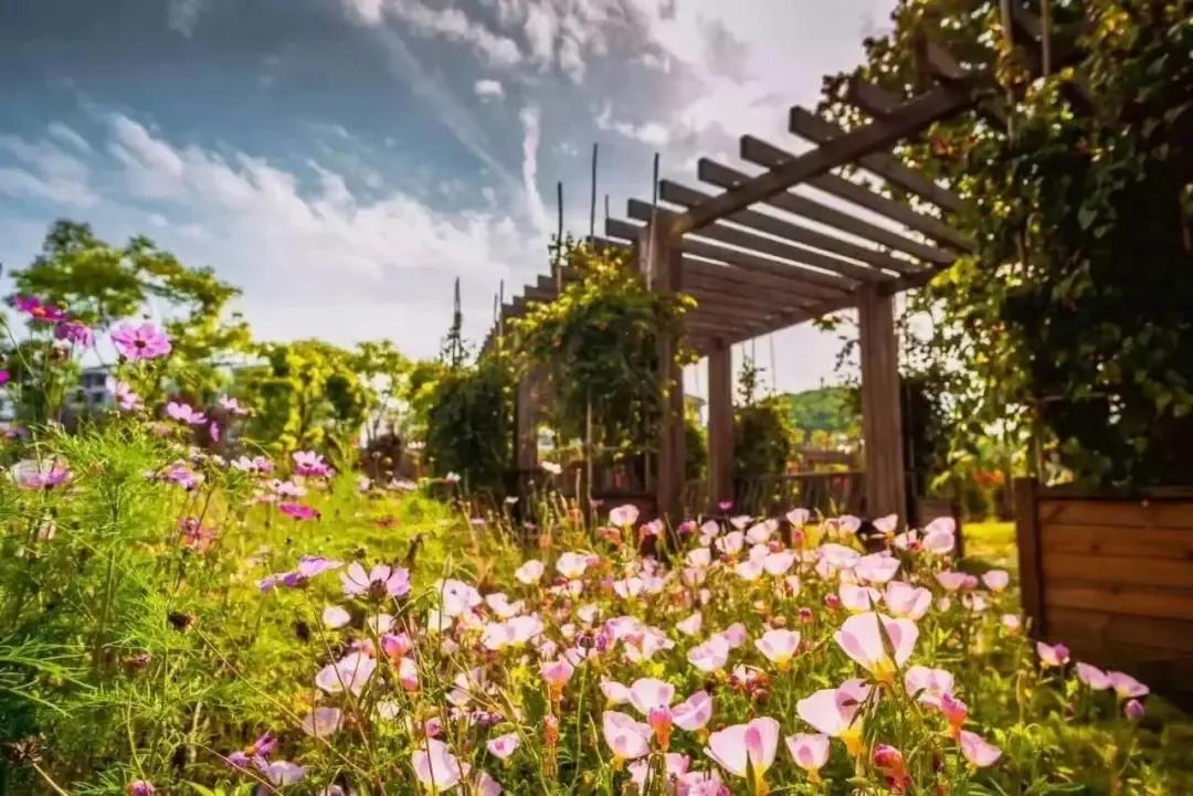 旅拍贵州！邂逅每一帧浪漫风景