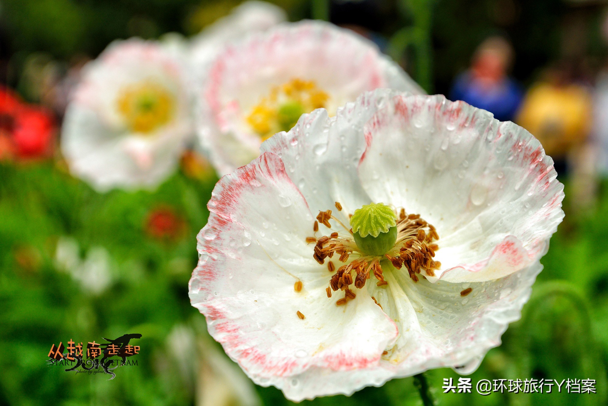 cnn上榜绝美旅行地,cnn评选出一生必去的50个地方